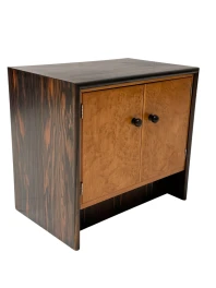 Art Deco Cabinet in Macassar and Birch by Gebroeders Reens Amsterdam, 1930s